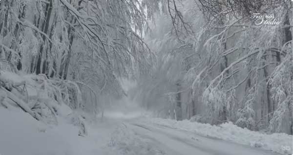Καστοριά: «Στης Σιωπής το Λευκό» (video)