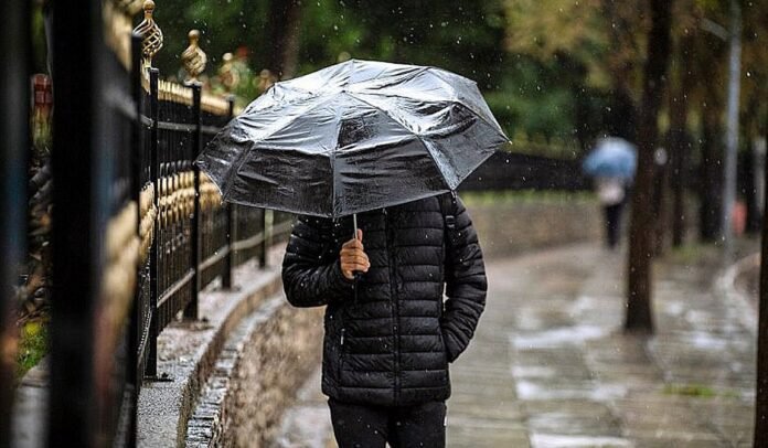 screenshot-2025-01-07-153624_252863_500509_type13262