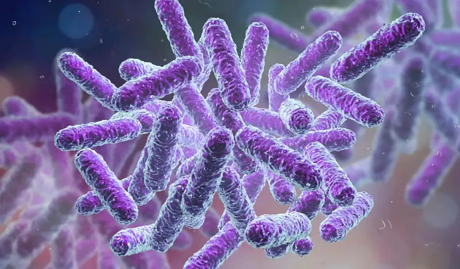 Συναγερμός στην Ευρώπη με ανθεκτικό εντεροβακτηρίδιο: Εξαπλώνεται και στην Ελλάδα – Εξηγήσεις από ECDC