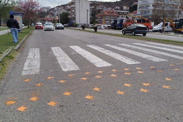 Διαβάσεις πτηνών στη Λ. Κύκνων