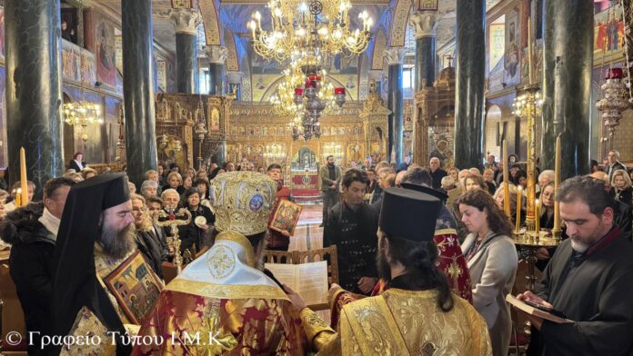 54375053200_16d64ea451_o