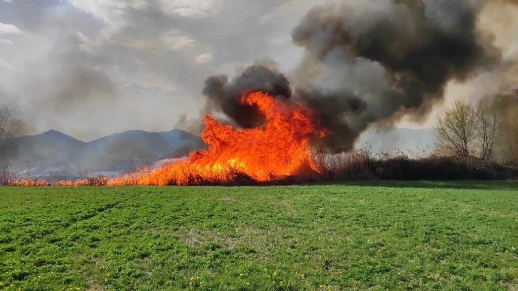 Πρόστιμα για τις φωτιές στο Υψηλό και στην Φλώρινα