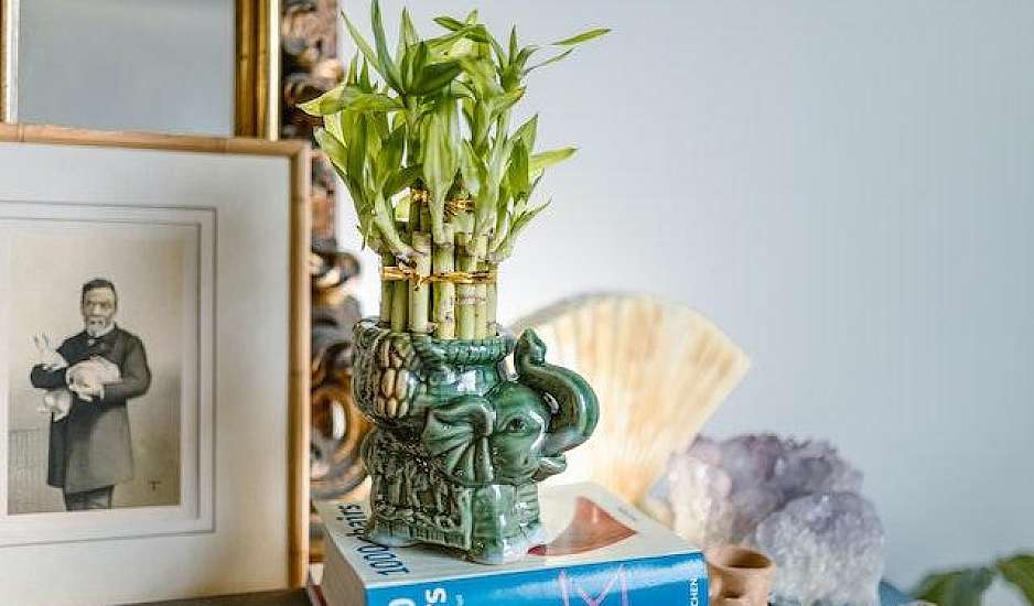 Φενγκ Σούι: Τα πιο γρουσούζικα πράγματα μέσα στο σπίτι