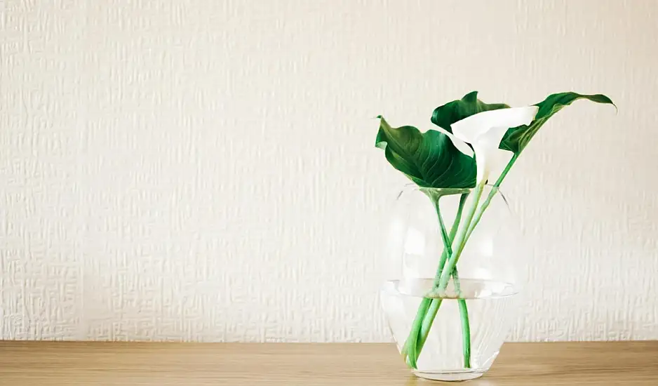 Λουλούδια σε βάζο; Ποιο λάθος κάνεις και τα καταστρέφεις;