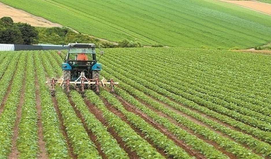 Δήλωναν εκτάσεις 2 φορές το μέγεθος της Ελλάδας. Στο «σκαμνί» 100 ύποπτοι για αγροτικές απάτες 2,9 εκατομμυρίων ευρώ