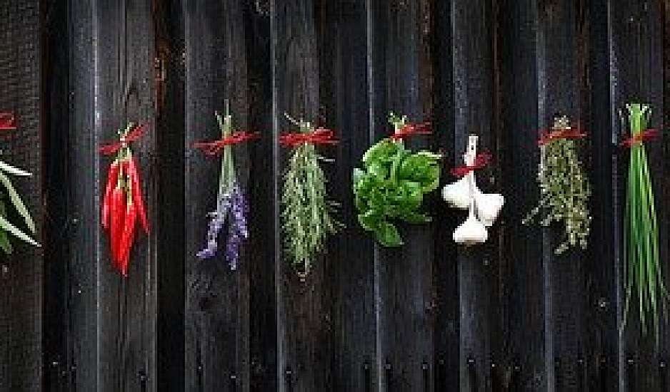 Το βότανο που ρυθμίζει το σάκχαρο στο αίμα και βελτιώνει τη μνήμη