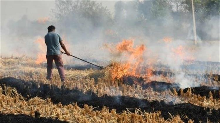 Πρόστιμο σε αγρότη στα Κορέστεια  για καύση καλλιεργειών