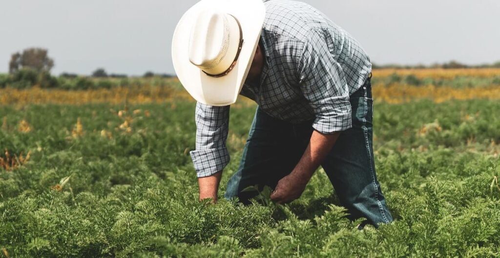 Στη Δυτική Μακεδονία η μεγαλύτερη μείωση αγροτών