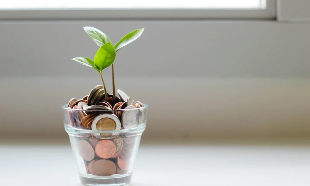 Φενγκ Σούι: Τα 2 σημεία που πρέπει να αποθηκεύεις τα χρήματά σου στο σπίτι για να «τραβήξεις» την αφθονία