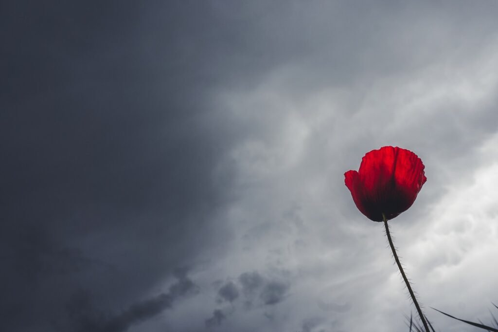 SOS μετεωρολόγων -Έρχεται «καιρικός ζουρλομανδύας»