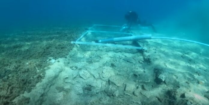 Screenshot-2025-04-14-160344-768x387