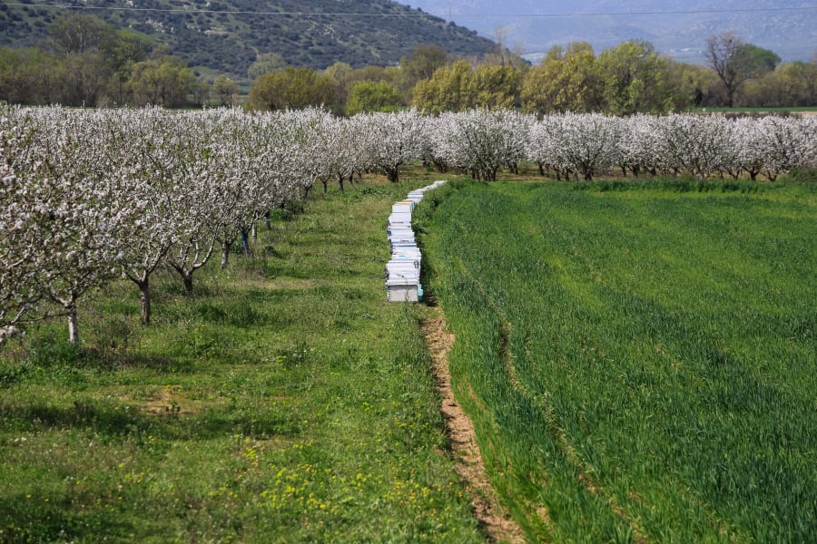 ΟΠΕΚΕΠΕ: Η νέα πληρωμή που έρχεται τον Μάιο