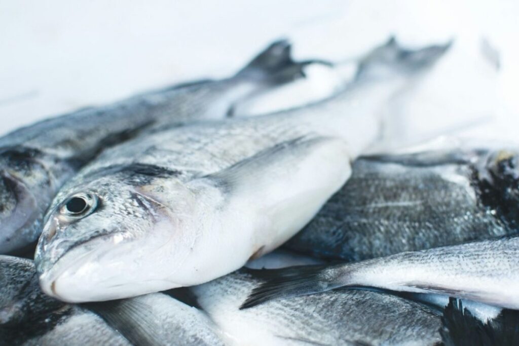 Το πιο δηλητηριώδες ψάρι στον κόσμο: Έχει 70 παράσιτα και τρώγεται σε κάθε σπίτι