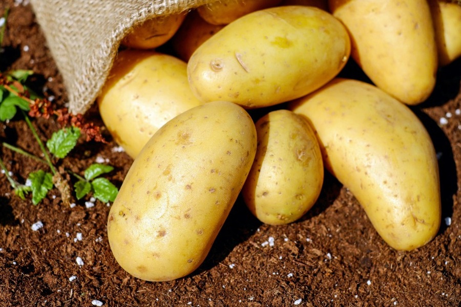 H Aμερική έχει τέτοια έλλειψη σε αυγά, που το Πάσχα θα βάψουν… πατάτες!