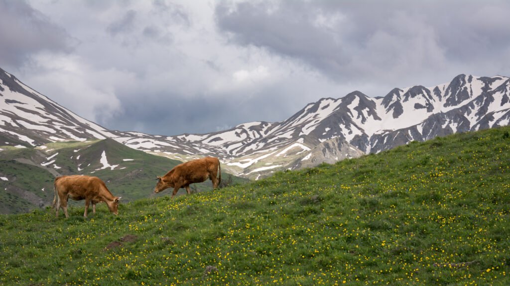 ΟΠΕΚΕΠΕ: Οι  ευρωπαικές ενισχύσεις και τα  «μαϊμού» βοσκοτόπια του Γράμμου!
