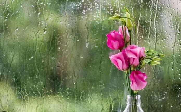 Καταγραφή-186