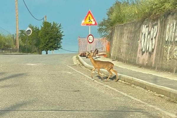 500432192_4011952469078884_2000246010896828271_n