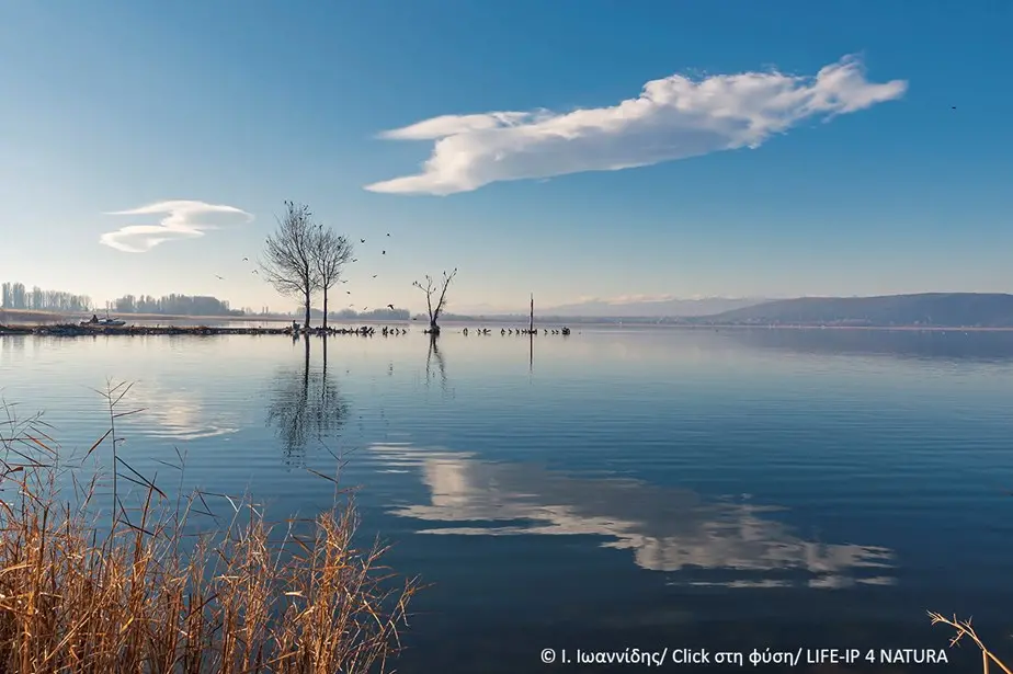 «Γνωρίζουμε τη λίμνη μας». – Εκδήλωση στο Μαυροχώρι