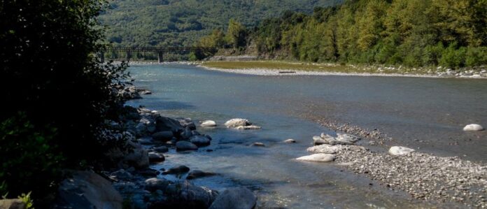 1000_6647f923-db4d-4565-9e3a-643fd6198321