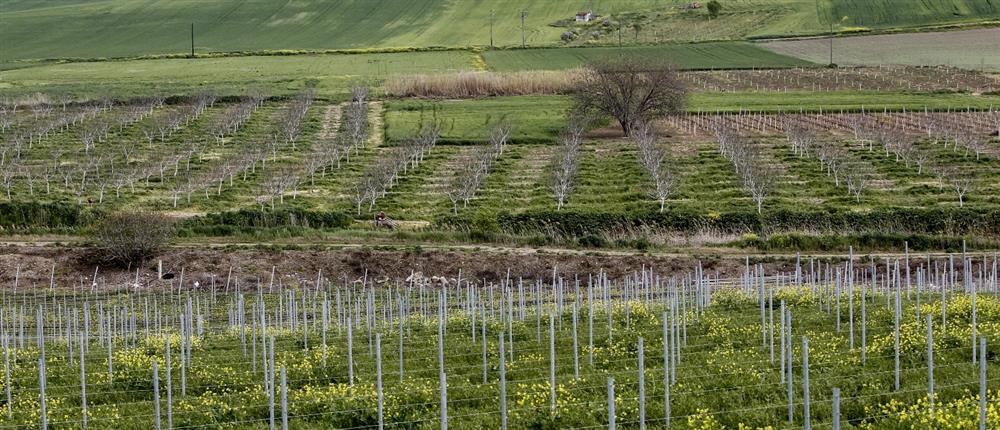 ΥΠΑΑΤ – Αγρότες: Ενισχύσεις και νέα εργαλεία απέναντι στην Κλιματική Κρίση