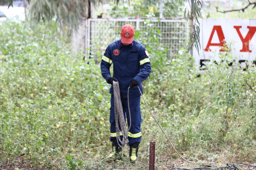 Δράμα: Νεκρός ο δεύτερος ορειβάτης μετά την επίθεση της αρκούδας