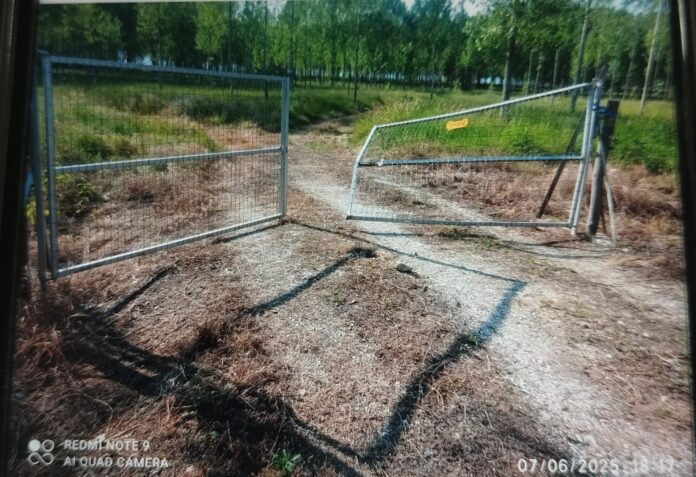 IMG_20250616_130617 (002)