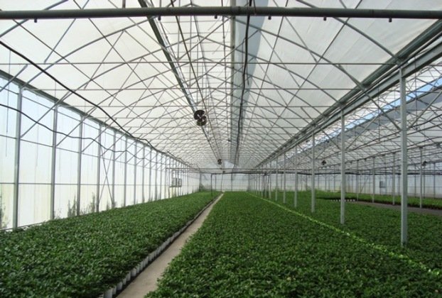 Πρόσκληση για Επενδύσεις στον Εκσυγχρονισμό Θερμοκηπίων και Στεγάστρων Φυτικής Παραγωγής