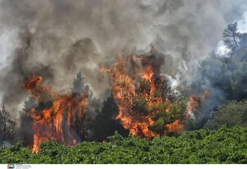 Υπό μερικό έλεγχο η πυρκαγιά στο Επταχώρι