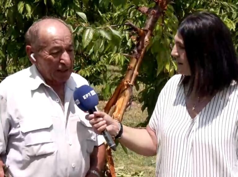 Μεσόβουνο Εορδαίας: Αγρότης βρέθηκε πρόσωπο με πρόσωπο με αρκούδα στο χωράφι-Βίντεο