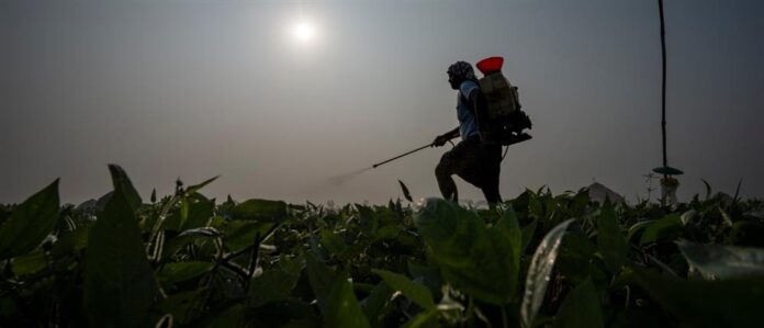 1000_040292f9-badd-4177-b061-e13d96dd590a