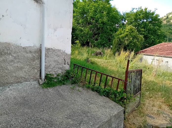 518313857_24144542991901400_572141060385517706_n