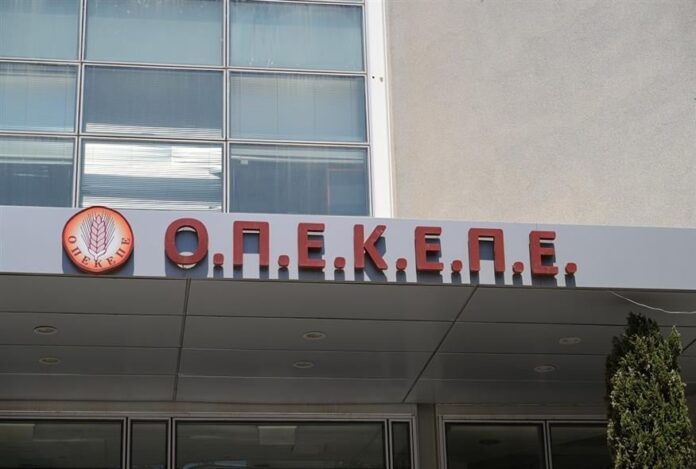 875_08ff2bb2-a176-4f99-99ed-b6cefc8c84ac