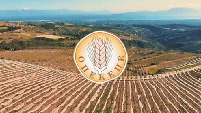 8bdec93eb42042c5a078826f3dc2a6a5