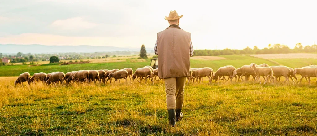 Ανοίγει η… βεντάλια του ΟΠΕΚΕΠΕ και στο Βόιο!