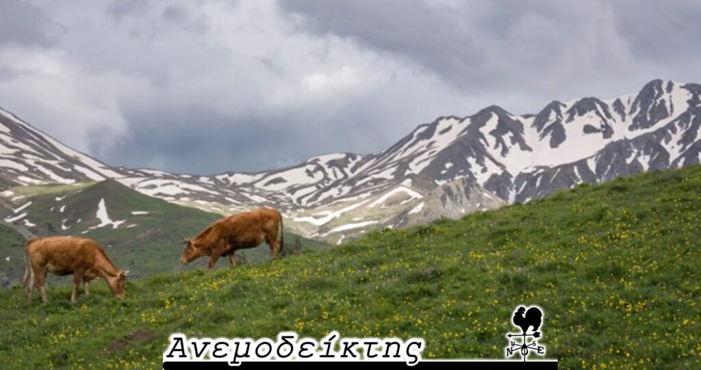 Κτηνοτρόφε, τι ζητάς εσύ ένας   Λαρισαίος στο Γράμμο;