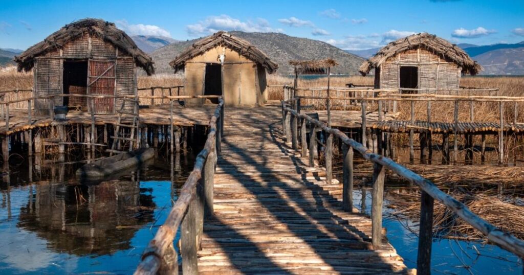 Κλείνει ο Λιμναίος Οικισμός λόγω εμφάνισης αρκούδας με μικρά