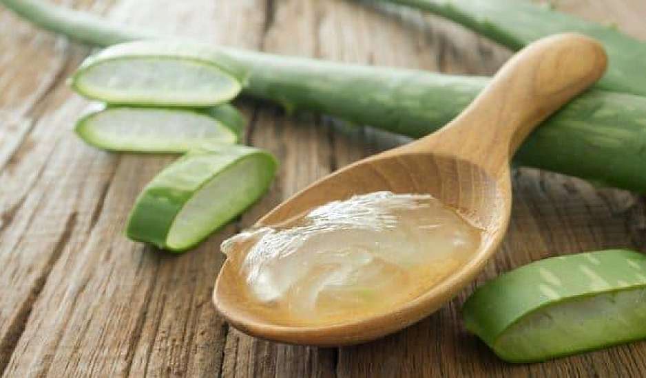 Φενγκ Σούι: Οι 3 λόγοι που η αλόη βέρα είναι αναγκαία για το σπίτι