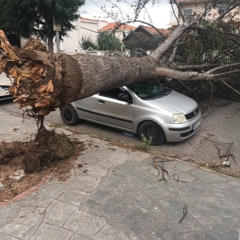 Μεγάλο δέντρο κατέσρεψε αυτοκίνητο στην Χλόη