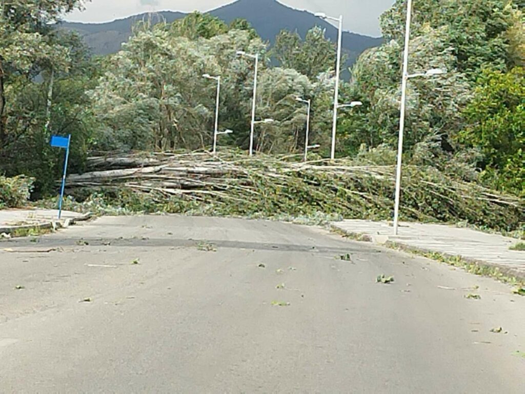 Πρωτοφανής ανεμοθύελα ξερίζωσε δέντρα στην Καστοριά