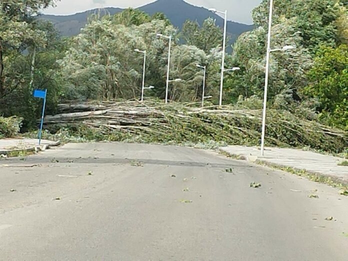 9dff0200-0337-46df-bb88-15327ad2e19f