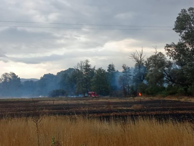 dff0e7d9-63bb-4417-9ddd-e07f23235e66-640x480 (1)