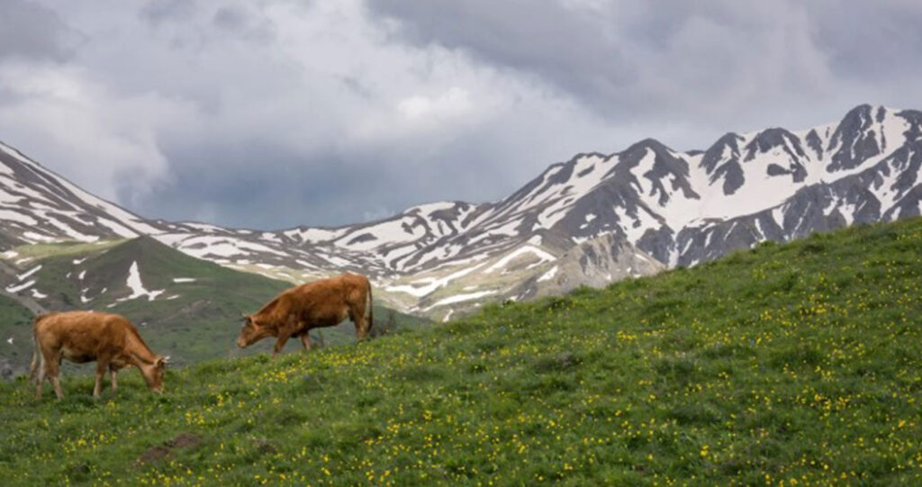 ΟΠΕΚΕΠΕ:  Ένα απέραντο διαφθορείο