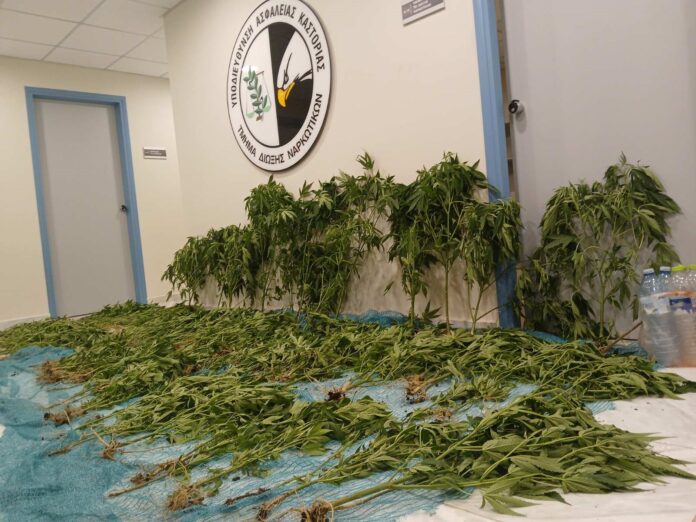 ΦΩΤΟΓΡΑΦΙΑ (00E)