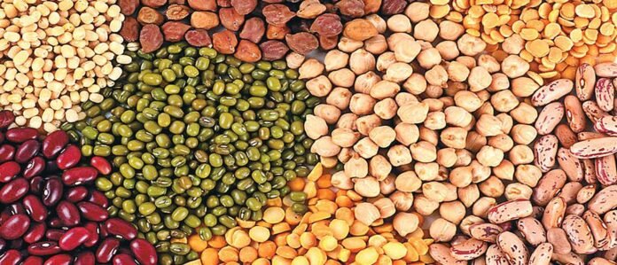 1000_d6d110bb-f6cb-425d-9526-8cdfcd467919