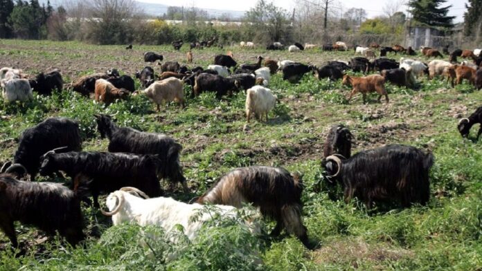 b1ff2eb7afed4034a8a670b0e881ed41