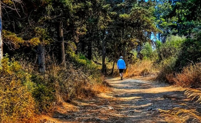 cb5a6e267becec781bb79b3282520a1a_L