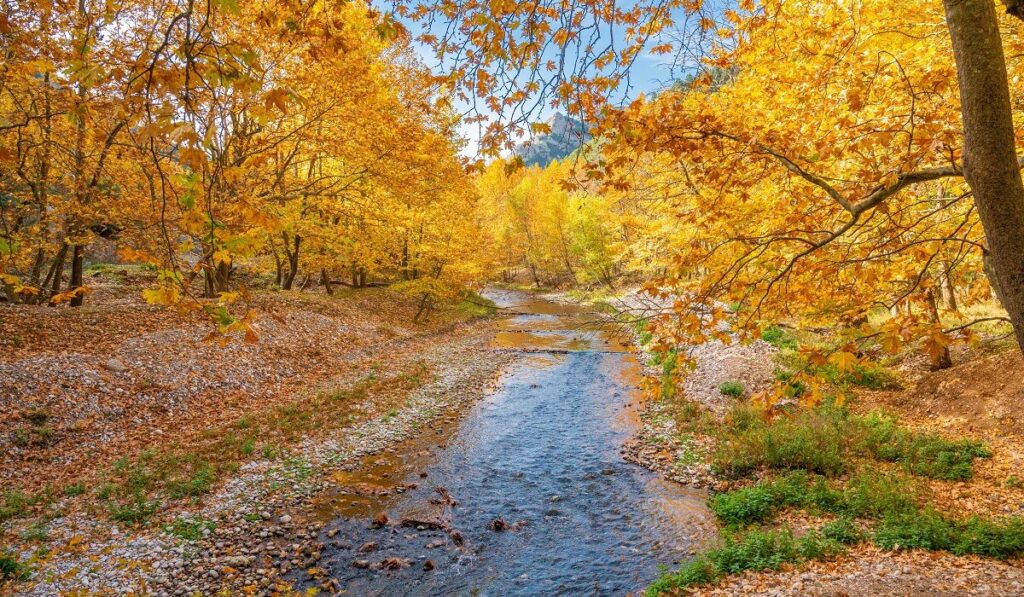 Η Φθινοπωρινή Ισημερία 2025: Το Αστρονομικό Τέλος του καλοκαιριού