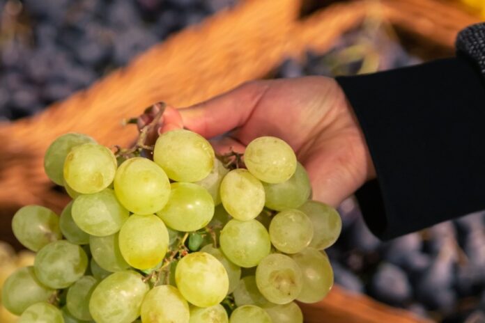 woman-chooses-green-grapes-grocery-store