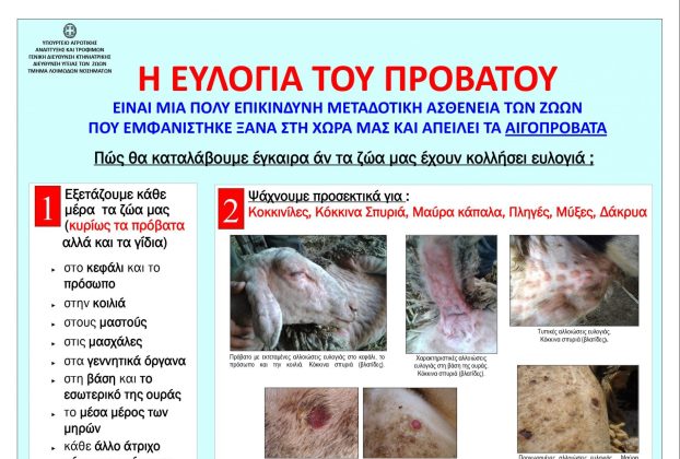 Ενημέρωση από την Υποδιεύθυνση Κτηνιατρικής Π.Ε. Καστοριάς: Ευλογιά (συμπτωματολογία- μέτρα βιοασφάλειας)