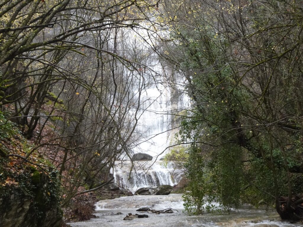 Ο ΣΔΟΠ στο Μοναστήρι της Αγίας Άννας